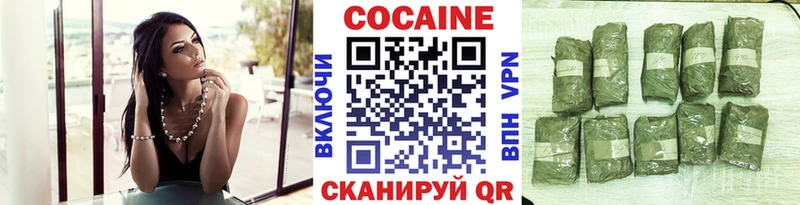 COCAIN Fish Scale  сколько стоит  Венёв 