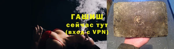 индика Абаза