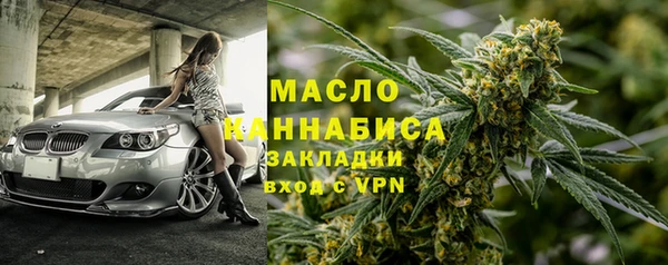 индика Абаза