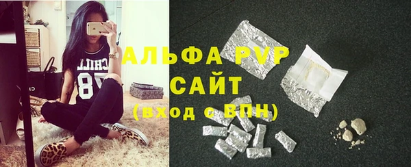 индика Абаза